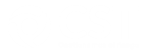 logo de carga